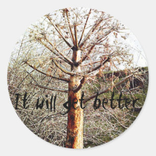 Sticker Rond Plante Ferula sec