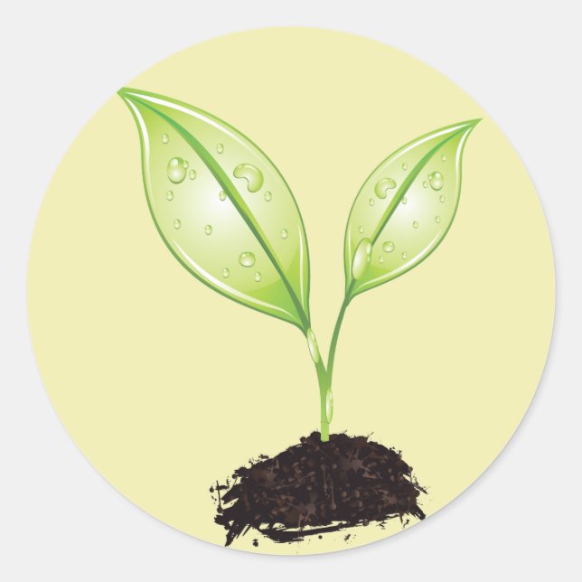 Sticker Rond Plante ~ Semis Terre verte Feuilles et semences ra (Devant)