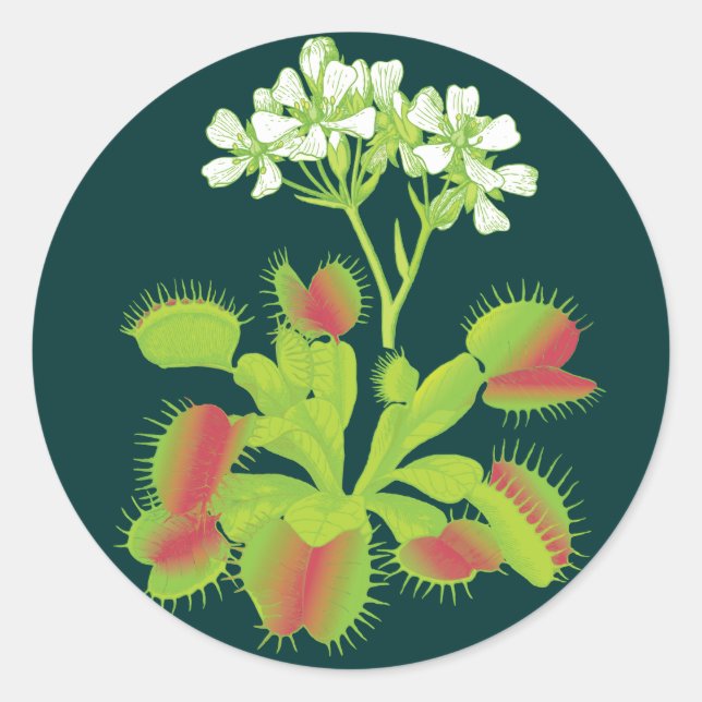 Sticker Rond Plante Vénus Flytrap (Devant)