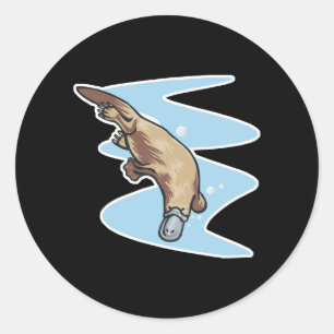 Sticker Rond platypus nageur