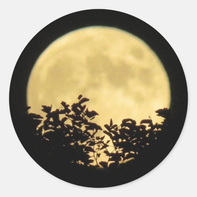 Sticker Rond Pleine lune avec branches d'arbres devant (Devant)