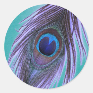 Sticker Rond Plume pourpre de paon sur Teal