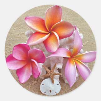 Sticker Rond Plumeria sur les coquillages sur la plage