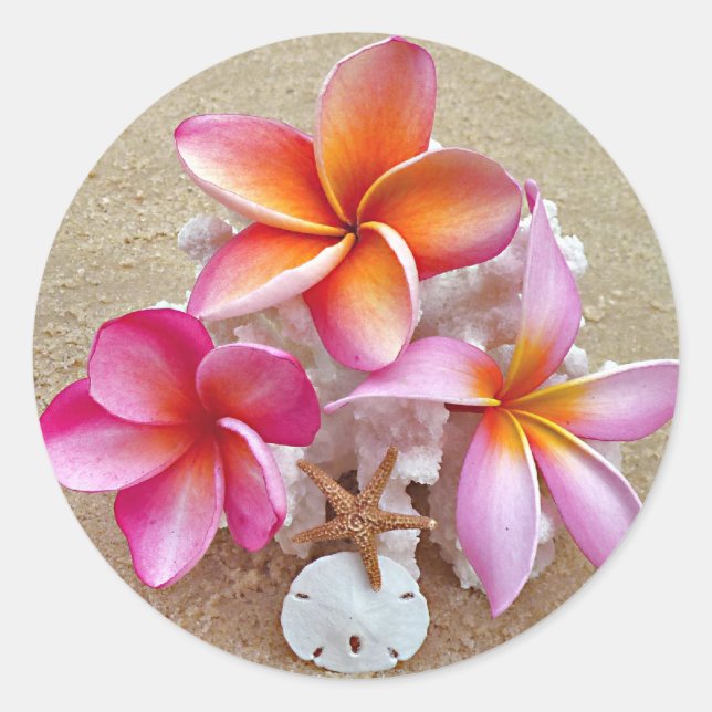 Sticker Rond Plumeria sur les coquillages sur la plage (Devant)