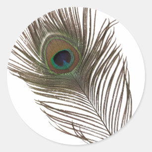 Sticker Rond Plumes de paon