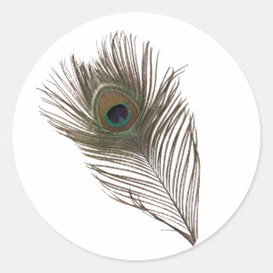 Sticker Rond Plumes de paon