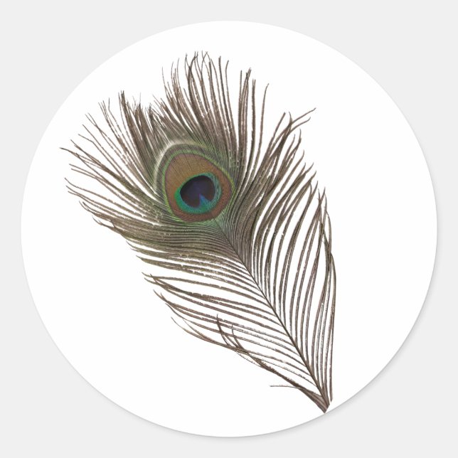 Sticker Rond Plumes de paon (Devant)