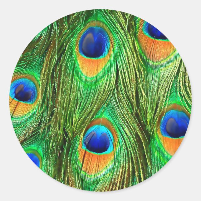 Sticker Rond Plumes de paon colorées Imprimer (Devant)
