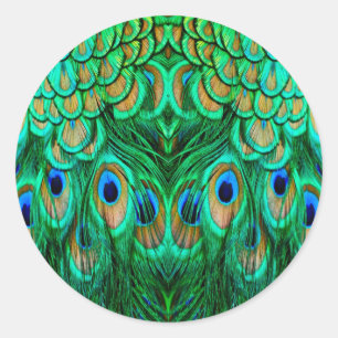 Sticker Rond Plumes de paon glorieuses