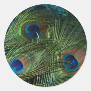 Sticker Rond Plumes de paon vert