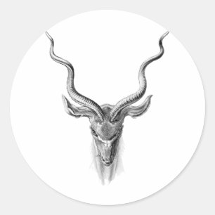 Sticker Rond Plus grand Kudu