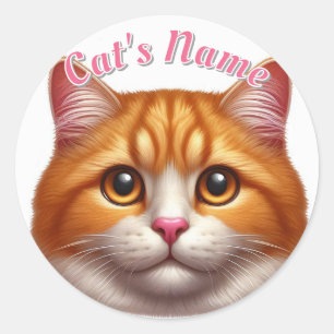 Sticker Rond Plutôt Orange Tabby Cat ・ Personnalisé