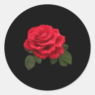 Sticker Rond Poche rose rouge