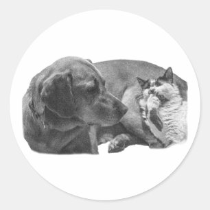 Sticker Rond Poches—Gazon doux