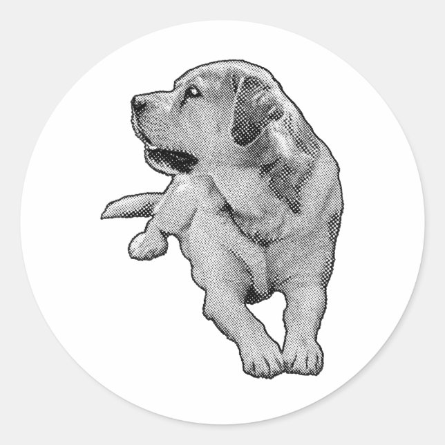 Sticker Rond Pocket Daydream, Retriever (Devant)