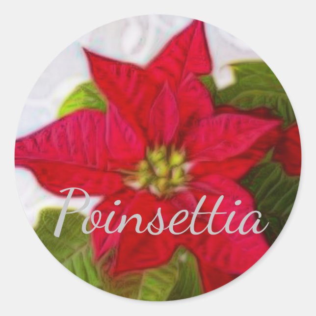 Sticker Rond Poinsettia (Devant)