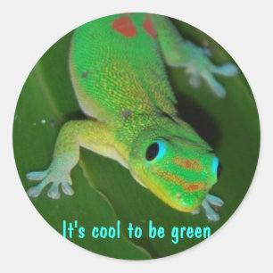 Sticker Rond Point de vue de Gecko - Il est cool d'être vert