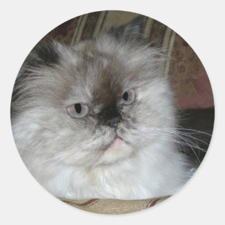 Sticker Rond Point Torti de l'Himalaya