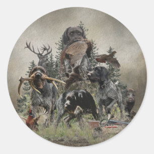 Sticker Rond Pointeur À poils durs allemand