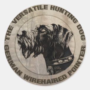 Sticker Rond Pointeur À poils durs allemand