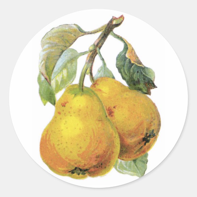 Sticker Rond Poires vintages (Devant)