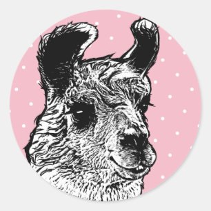 Sticker Rond Pois blancs et noirs tendance Llama