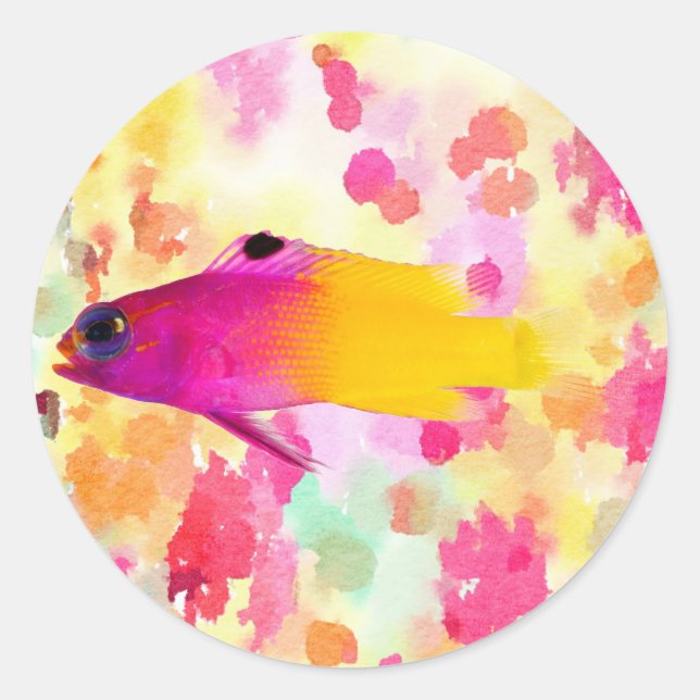 Sticker Rond Poisson (Devant)