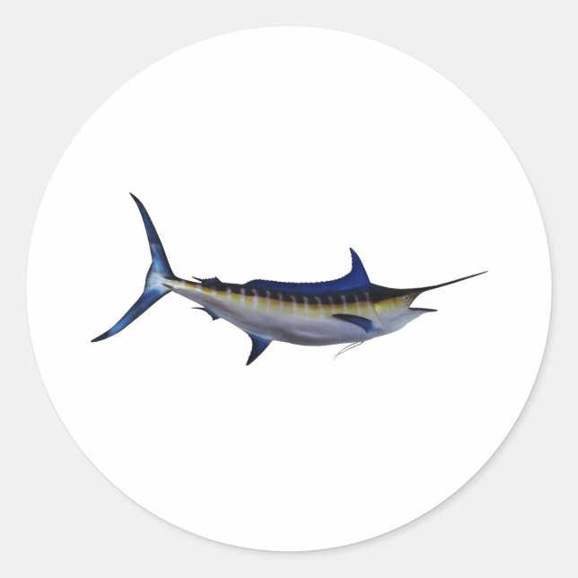 Sticker Rond Poisson bleu Marlin (Devant)