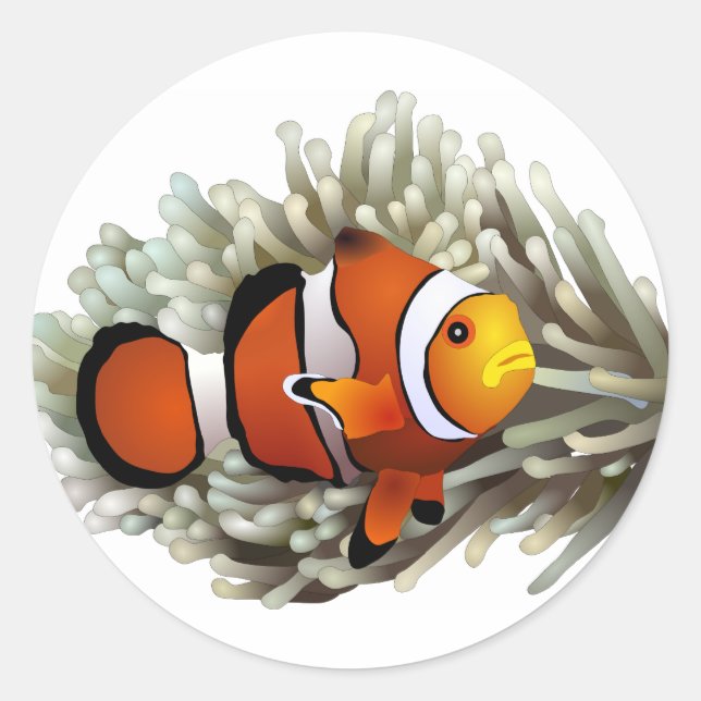 Sticker Rond Poisson clown (Devant)