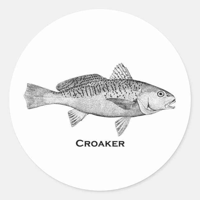Sticker Rond Poisson croisé (Devant)