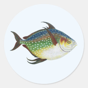 Sticker Rond Poisson Opah tropical, animal aquatique marin Vint