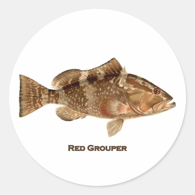 Sticker Rond Poisson roux (Devant)