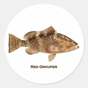 Sticker Rond Poisson roux