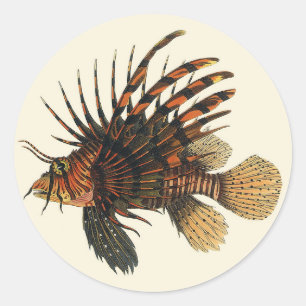 Sticker Rond Poisson vintage de Lion, Marine Océan Vie Animal