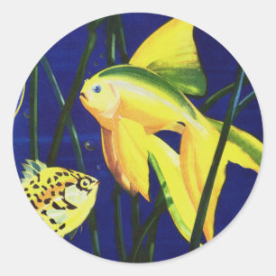 Sticker Rond Poisson vintage Marine, Poisson d'or fantaisie dan