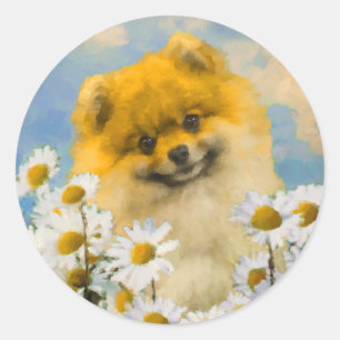 Sticker Rond Poméranien dans Daisies Peinture - Art Chien origi