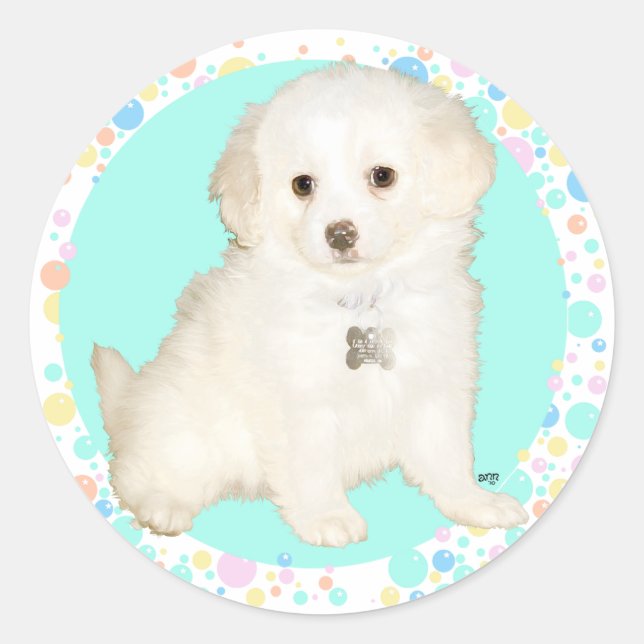 Sticker Rond Poodle / Bichon Mix Puppy fête la vie (Devant)