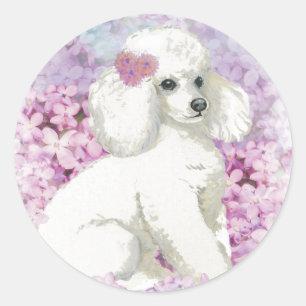 Sticker Rond Poodle blanc dans les Lilacs Art et cadeaux
