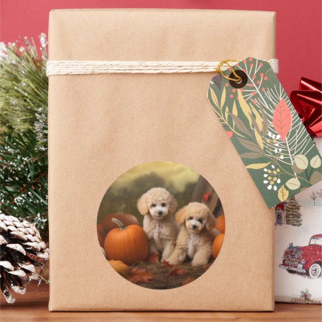 Sticker Rond Poodle Chiot Automne Citrouille délice (vacances)