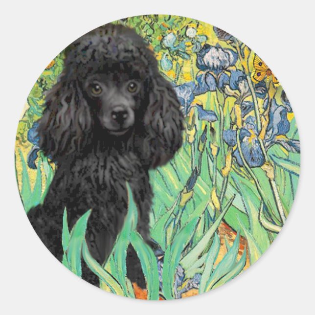 Sticker Rond Poodle (noir 1) - Irises (Devant)