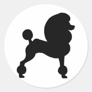Sticker Rond Poodle standard coupé