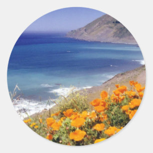 Sticker Rond Poppies de Californie