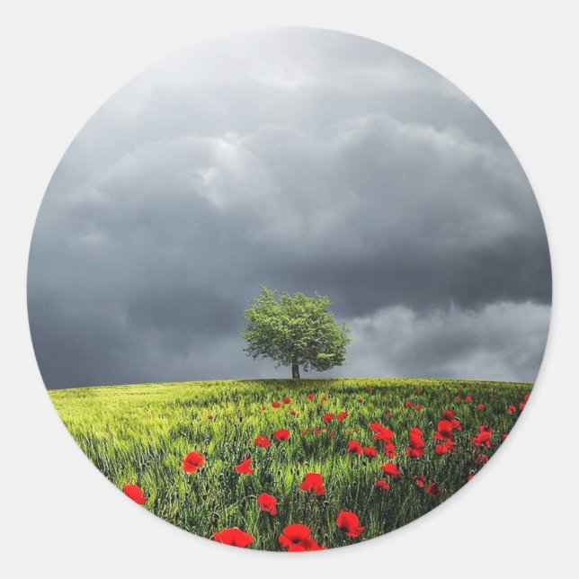 Sticker Rond Poppy Field et ciel nuageux (Devant)