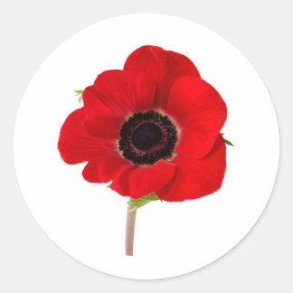 Sticker Rond POPPY of Remembrance
