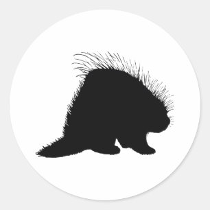 Sticker Rond Porcupine