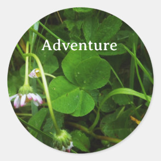Sticker Rond Porte-bonheur Adventure