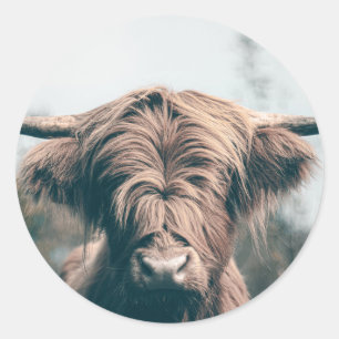 Sticker Rond Portrait de vache Highland