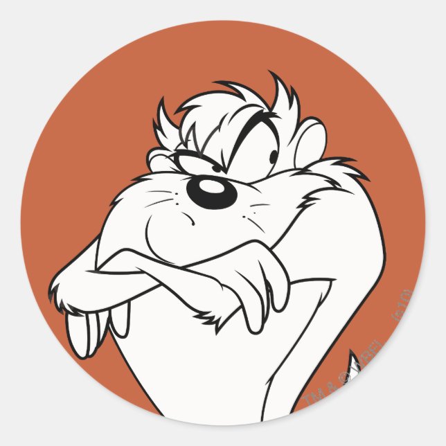 Sticker Rond pose TAZ™ (Devant)