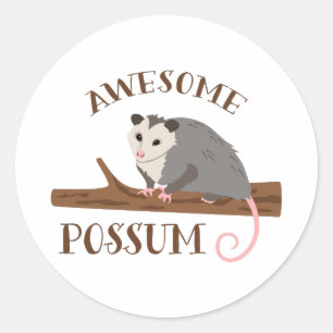 Sticker Rond Possum génial