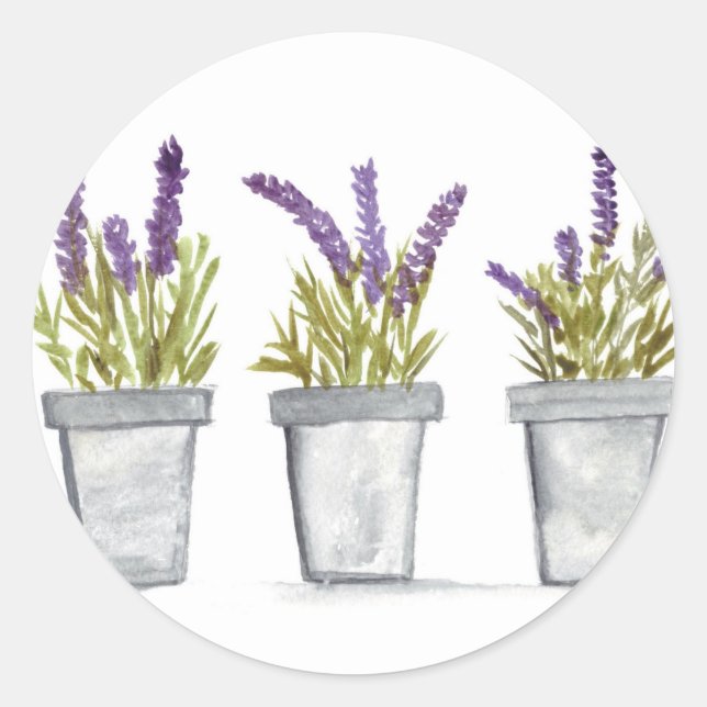 Sticker Rond Pots d'herbe lavande aquarelle fleurs violet chic (Devant)
